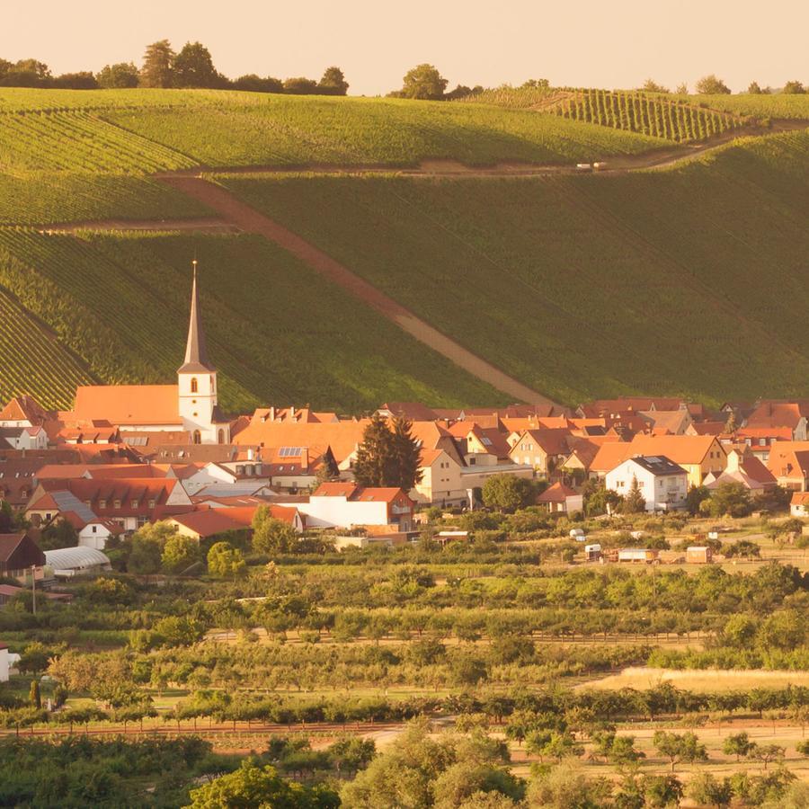 Domizil Nunn Hotel Escherndorf Ngoại thất bức ảnh