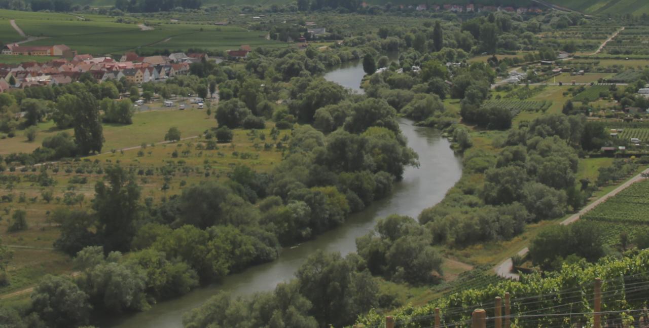 Domizil Nunn Hotel Escherndorf Ngoại thất bức ảnh